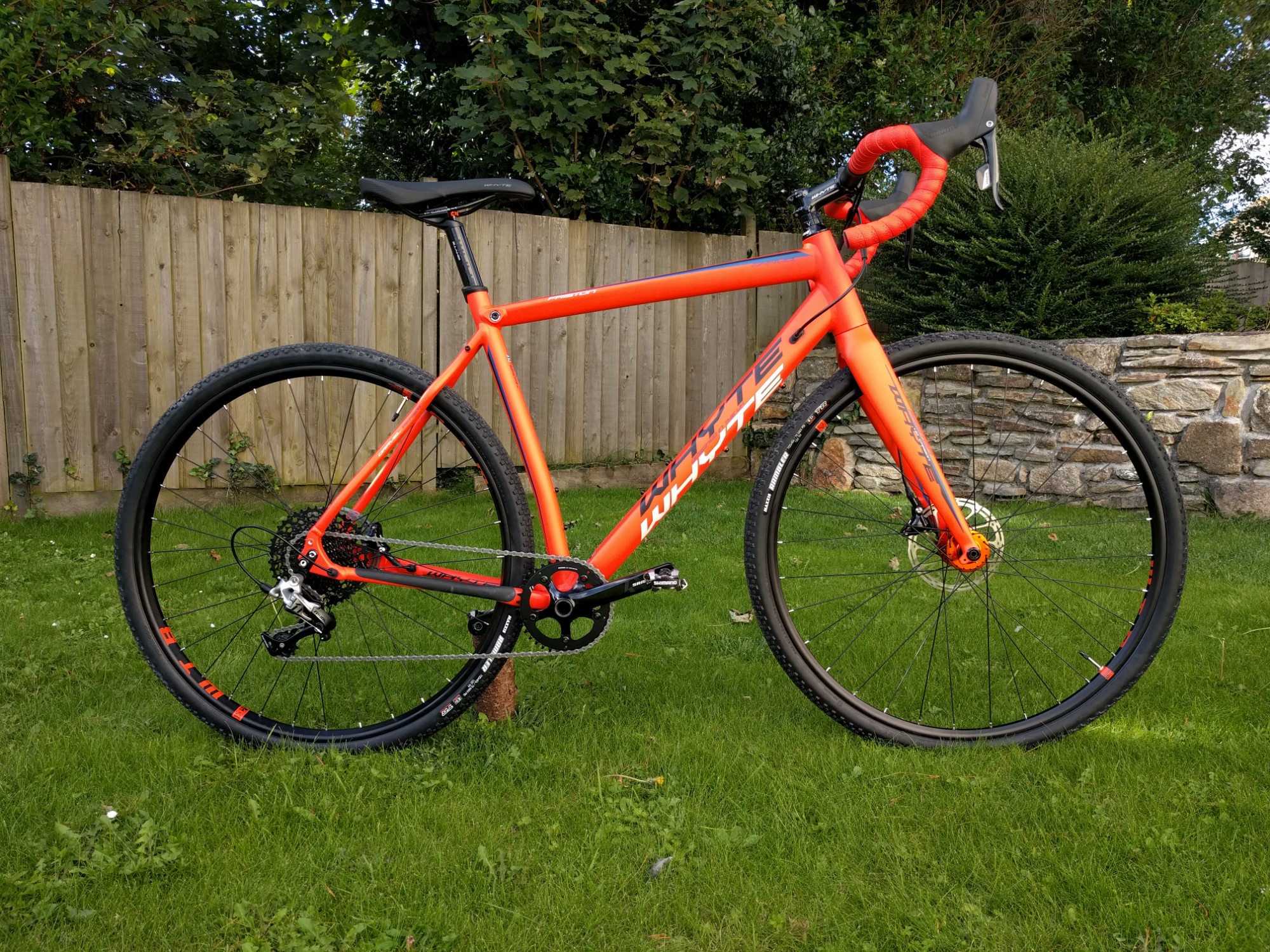 whyte friston 2019 review